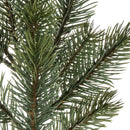 Set 12 Rami Pino Ramo H50 cm Verde