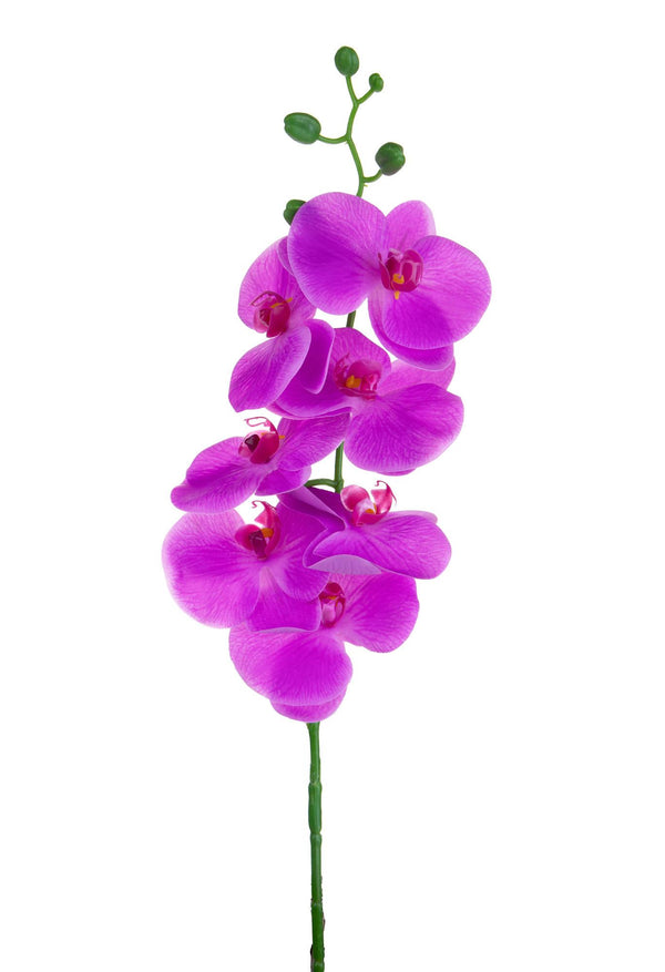 prezzo Set 6 Phalaenopsis Artificiali con 7 Fiori Altezza 96 cm Viola