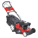 Tosaerba Tagliaerba a Scoppio Semovente con Funzione Mulching per Taglio Erba Dy 21-200 S