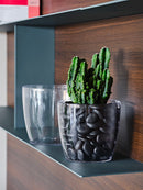 Vaso da Interno e Esterno Ø24,5x23 cm in Plastica Madeira 26 Trasparente