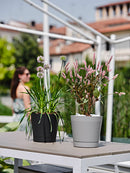 Vaso da Interno e Esterno Ø24x22cm in Polipropilene Orione 24 Cloud Bianco