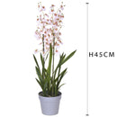 Orchidea Artificiali Oncidium a 3 Diramazioni con Vaso Altezza 45 cm Rosa