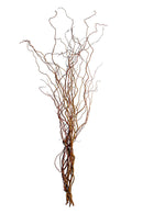 Set 20 Rami Naturali Salix 200 cm Nocciolo