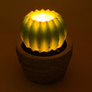 Candela led cactus con vaso fontana cm Ø23xh28