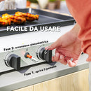 Piastra Barbecue a Gas 77x44,5x19 cm con 4 Bruciatori da 2,4 kw e Piano Antiaderente Argento  