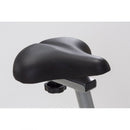 Cyclette Magnetica 110Kg Max 8 Livelli Accesso Basso Toorx BRX-Comfort