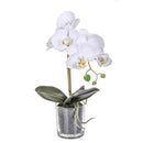 Set 2 Pianta Artificiale di Phalaenopsis Artificiali con Vaso Altezza 38 cm Bianco