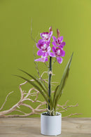 Dendrobium Artificiale con Vaso Altezza 36 cm Viola