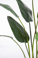 Set 2 Piante Artificiali Strelitzia 120x100x235 cm in Plastica con Vasi Verde