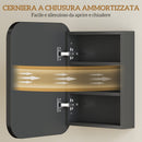 Specchio Contenitore 40,2x10,2x50,9 cm Armadietto con 2 Ripiani Regolabili in Legno e Vetro Nero      