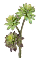Set 2 Succulent Artificiale a 3 Diramazioni Altezza 50 cm Verde