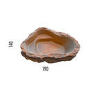 Laghetto Artificiale Roccia Fuori Terra 190x140x40 cm 270 Litri