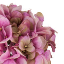 Set 2 Ortensia Artificiale Altezza 71 cm Rosa