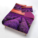 Copripiumino con Federe Stampato in Microfibra Lavender Varie Misure