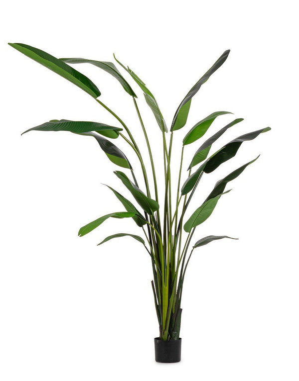 Pianta Artificiale Strelitzia 180x140x310 cm in Plastica con Vaso Verde acquista