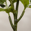 Pianta Artificiale Fico H150 cm con Vaso Verde