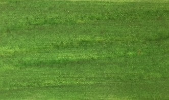 Impregnante per Legno da Esterno 4 Litri Verde prezzo