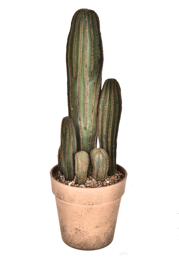 prezzo Set 2 Pianta di Cactus Artificiale con Vaso Altezza 24 cm Verde