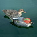 Alzavola Decorativa H15 cm per Laghetti da Giardino