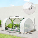 Serra da Giardino a Tunnel 200x100x80 cm in Acciaio e con Copertura in PVC Bianco      