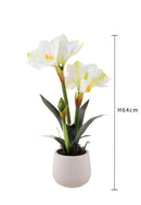 Amaryllis Artificiale con Vaso Altezza 64 cm Bianco