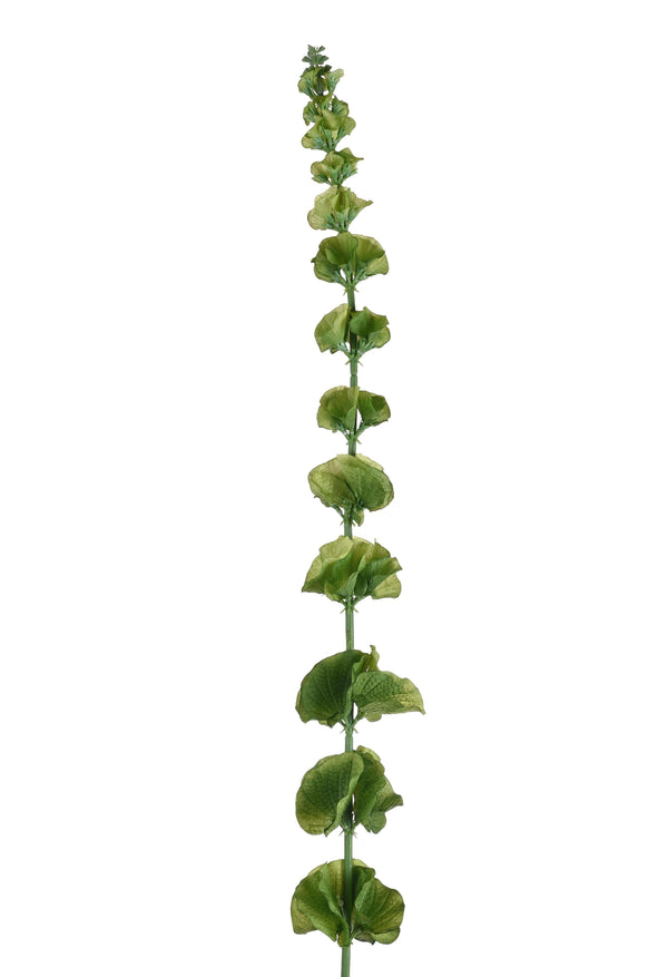 prezzo Set 3 Fiori Artificiali di Moluccella Altezza 102 cm Verde