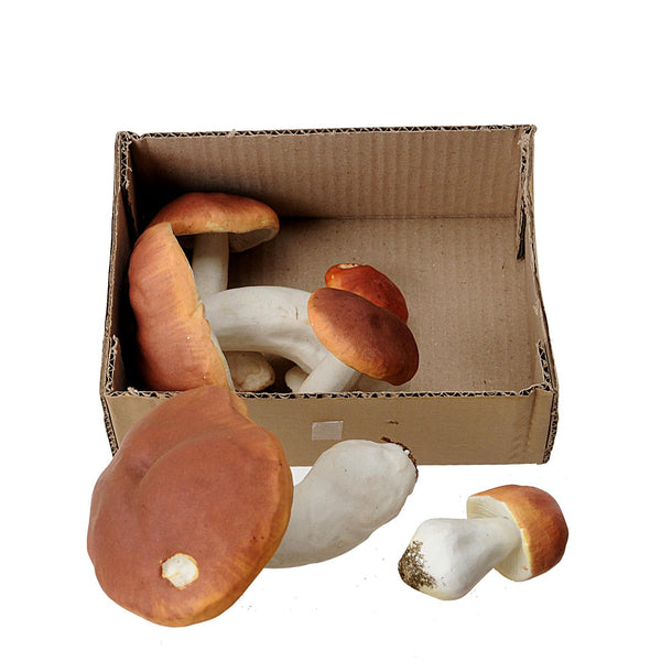 Set 12 Porcini Artificiali Assortiti H 22 cm sconto