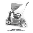 Triciclo a Spinta per Bambini Seggiolino Reversibile Hornet Azzurro