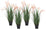 Set 4 Piante Artificiali con Vaso Ø 70x100 cm Grevillea in Plastica Rosa