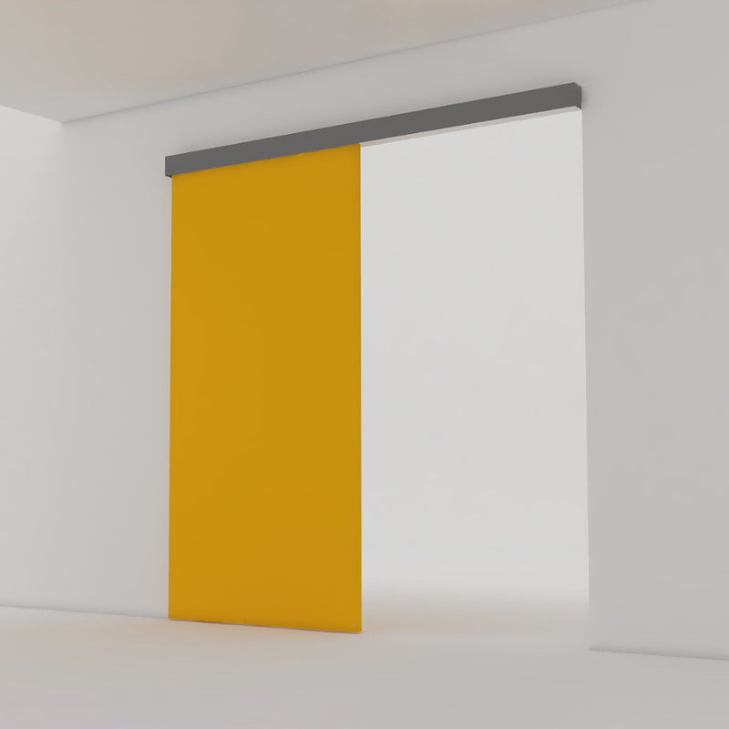 Binario per Porte Scorrevoli con Kit di Accessori 200 cm in Alluminio Emuca