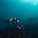 Acquascooter Elettrico Yamaha RDS300 DPV 4,8Km/h