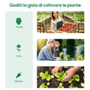 Mini Serra da Giardino 180x90x70 cm in Polietilene Verde