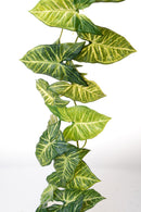 Set 2 Ghirlande 130 cm Syngonium 24 Foglie Real Touch 
