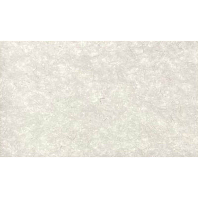 Tappeto Passatoia da Esterno/Interno 1x50m in Polipropilene Bianco