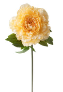 Set 6 Fiori Artificiali Peonia 65 cm 
