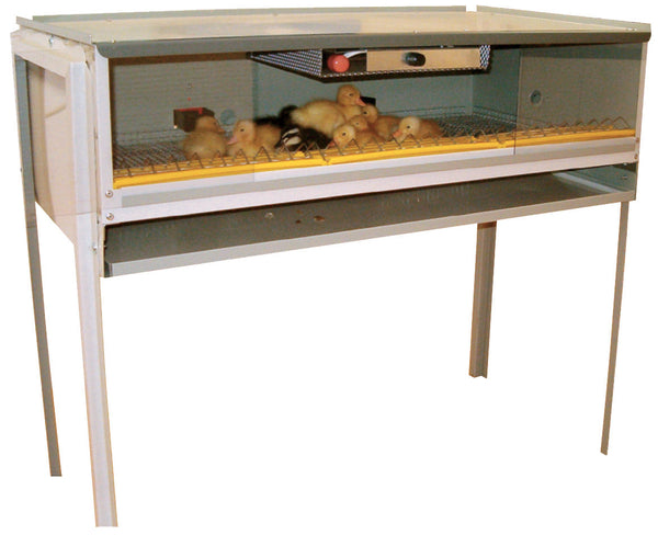 Gabbia Calda Allevatrice Artificiale per 60/70 Pulcini Fiem prezzo