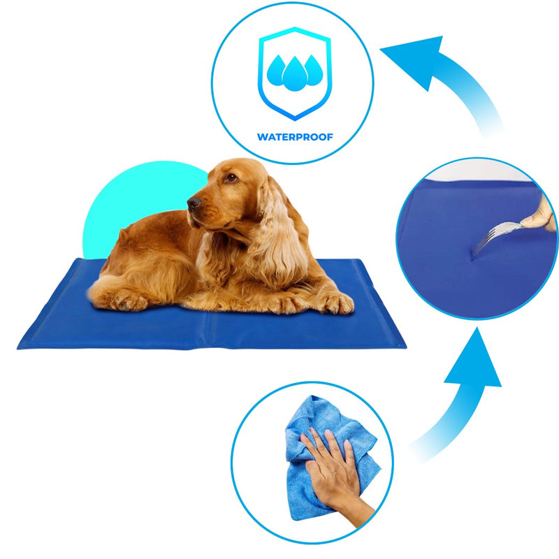 Tappetino 65x50 cm refrigerante con gel rinfrescante per cani taglia media