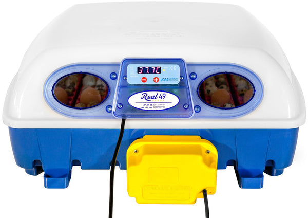 Incubatrice per Uova Automatica Professionale Borotto Real 49 online