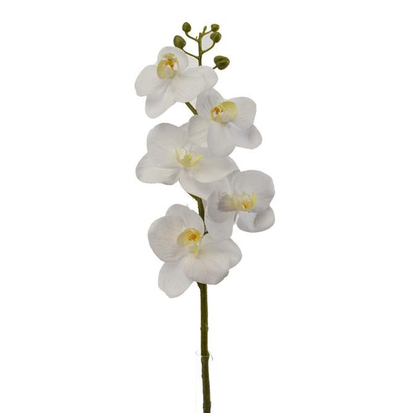 Set 6 Mini Phalaenopsis Artificiali Altezza 43 cm Bianco prezzo
