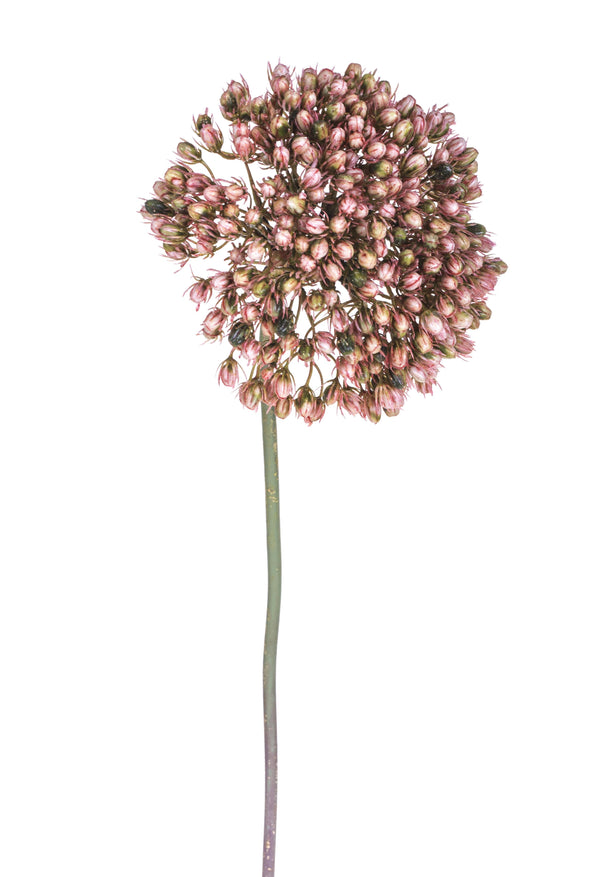 Set 4 Fiori Artificiali di Allium Altezza 65 cm Rosa online