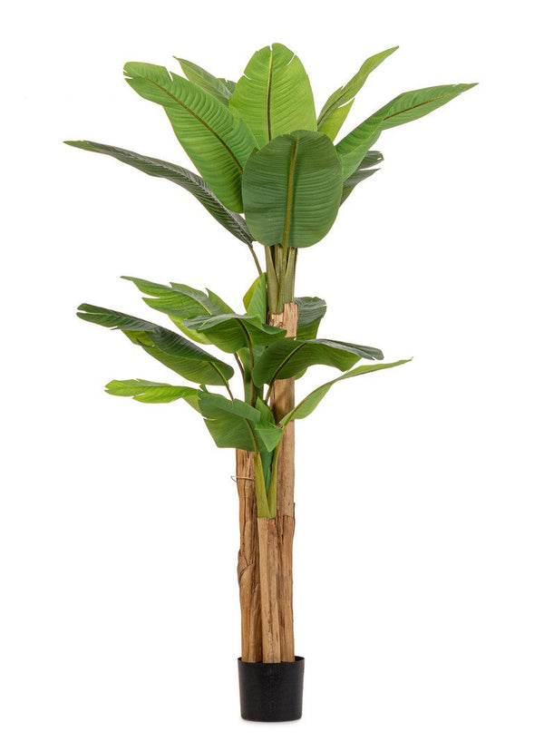 online Pianta Artificiale di Banano 115x120x200 cm in Plastica con Vaso Verde