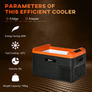 Frigo Portatile Elettrico a Compressore 30 Litri per Auto e Camion Nero e Arancione