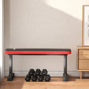 Panca Piana per Pesi e Addominali Capacità 300kg 106x26x48 cm Nero  