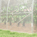 Serra a Tunnel per Orto Trasparente in Acciaio e PE con Porta a Battente 4x3x2m  Trasparente