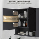 Specchio Armadietto da Bagno Pensile 2 Ante 55x17x55 cm in Legno Nero