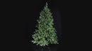Albero di Natale Artificiale 210 cm 2692 Punte  Verde