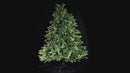 Albero di Natale Artificiale 180 cm 180 Rami  Verde