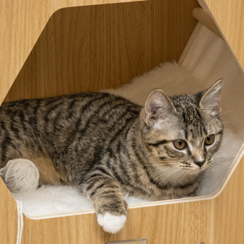 Cuccia per Gatti 49,5x38,5x43,5 cm in Legno e Tessuto con Cuscino in Peluche Quercia e Bianco