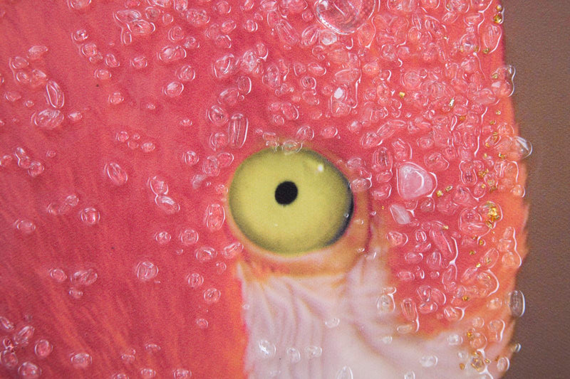 Stampa su Tela con Applicazioni Flamingo 80x3,8x120 cm in Legno e canvas-3