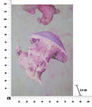 Stampa su Tela con Applicazioni Medusa 80x3,8x120 cm in Legno e canvas-8